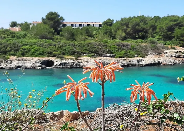 Atico Playa Santandria Con Piscina Y Wifi